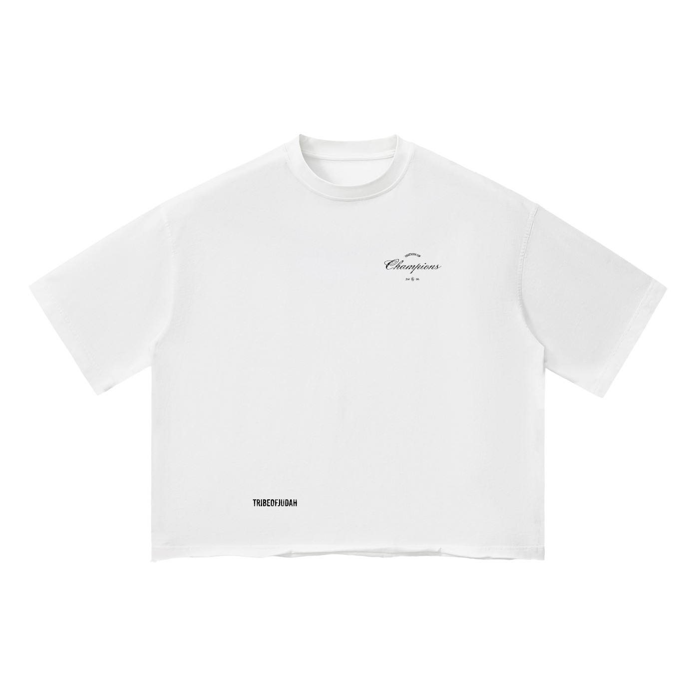 nationofchampions,tshirt,tee,boxfit