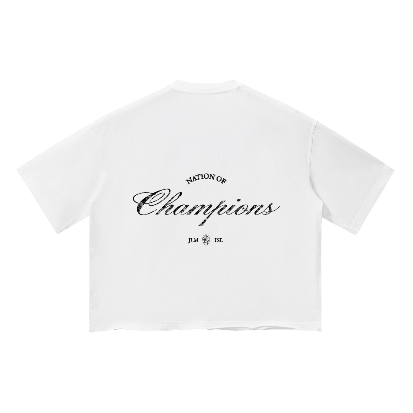nationofchampions,tshirt,tee,boxfit
